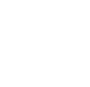 DynamicWeb
